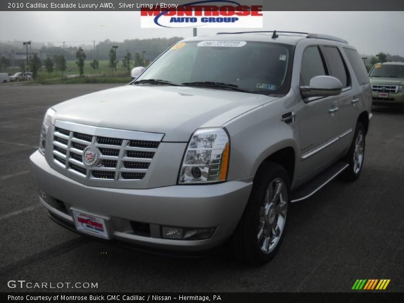 Silver Lining / Ebony 2010 Cadillac Escalade Luxury AWD