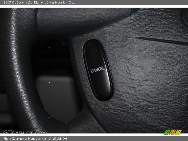 Diamond Silver Metallic / Gray 2005 Kia Sedona LX