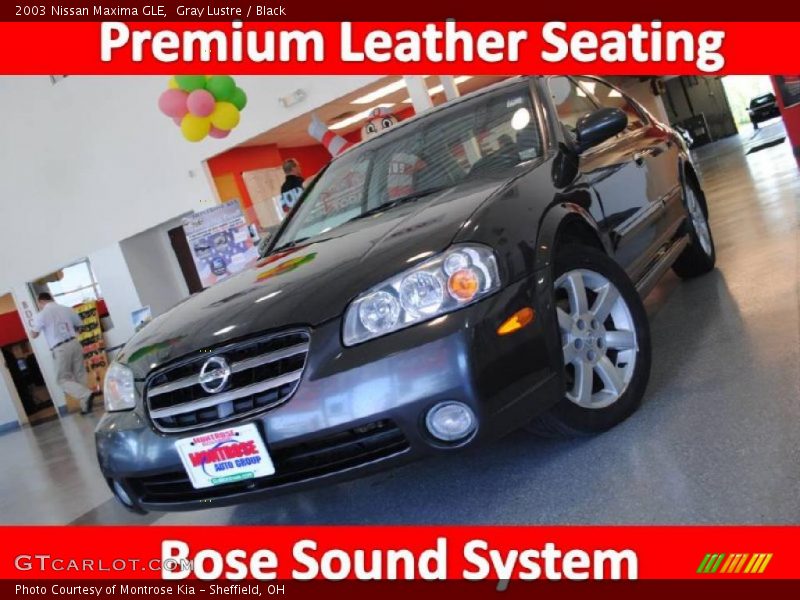 Gray Lustre / Black 2003 Nissan Maxima GLE