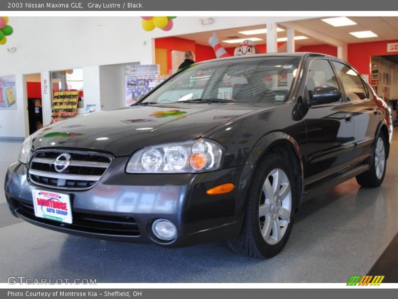 Gray Lustre / Black 2003 Nissan Maxima GLE