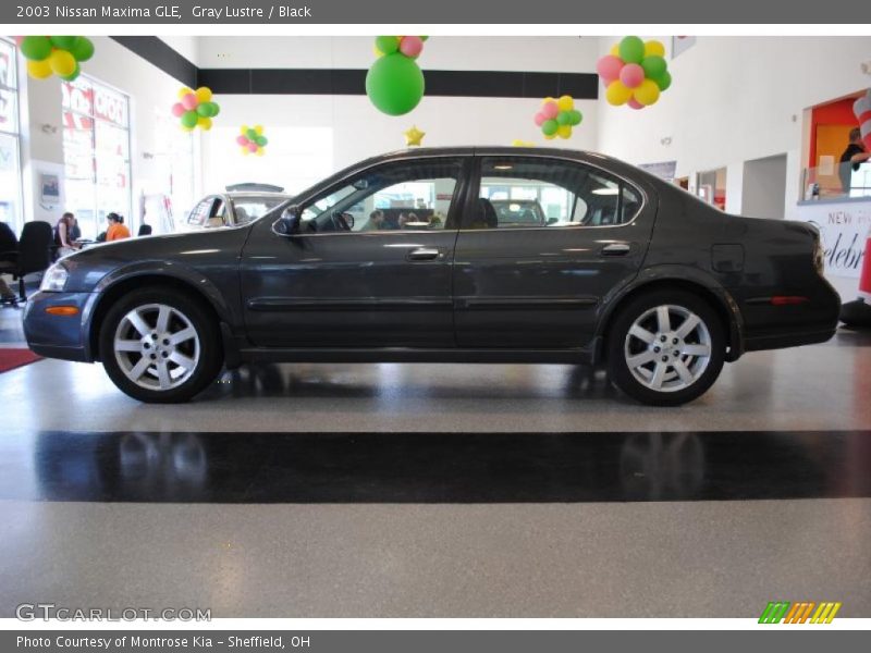Gray Lustre / Black 2003 Nissan Maxima GLE