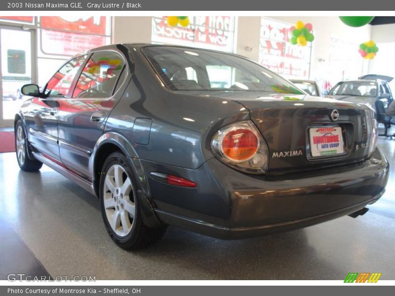 Gray Lustre / Black 2003 Nissan Maxima GLE