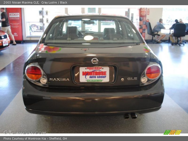 Gray Lustre / Black 2003 Nissan Maxima GLE