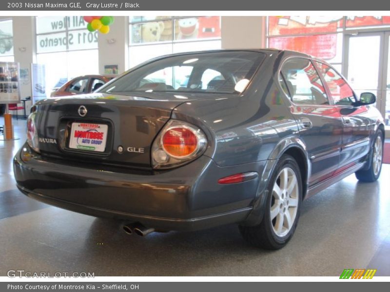 Gray Lustre / Black 2003 Nissan Maxima GLE