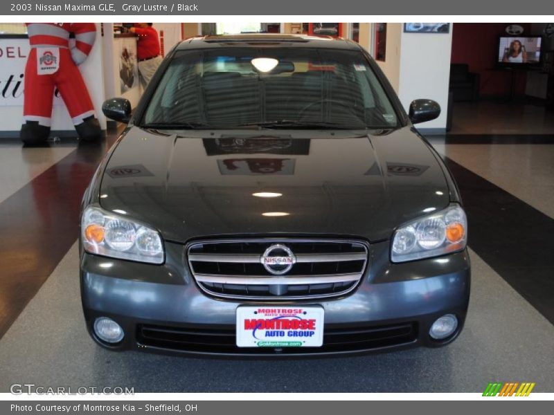 Gray Lustre / Black 2003 Nissan Maxima GLE