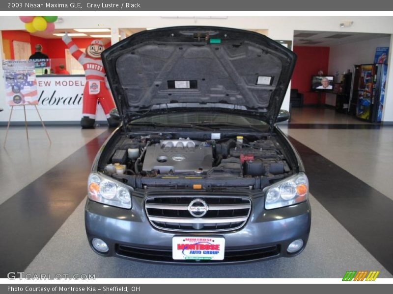 Gray Lustre / Black 2003 Nissan Maxima GLE