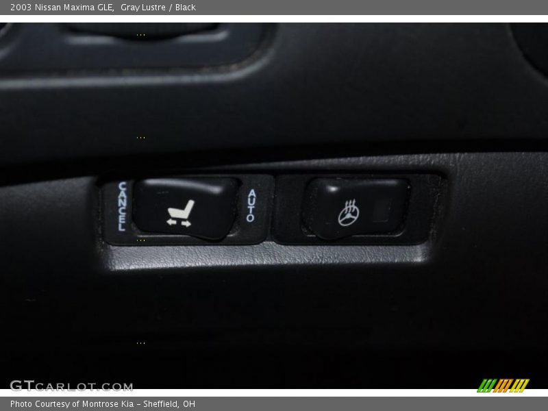 Gray Lustre / Black 2003 Nissan Maxima GLE