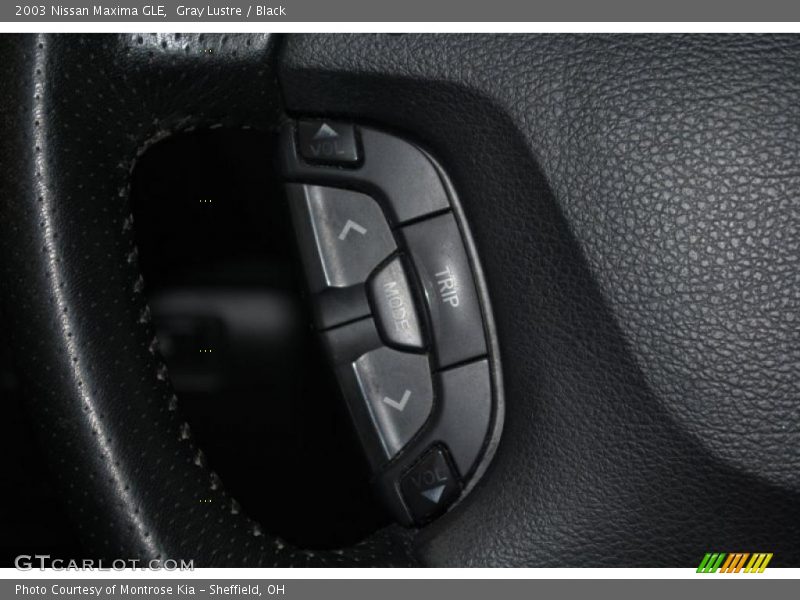 Gray Lustre / Black 2003 Nissan Maxima GLE