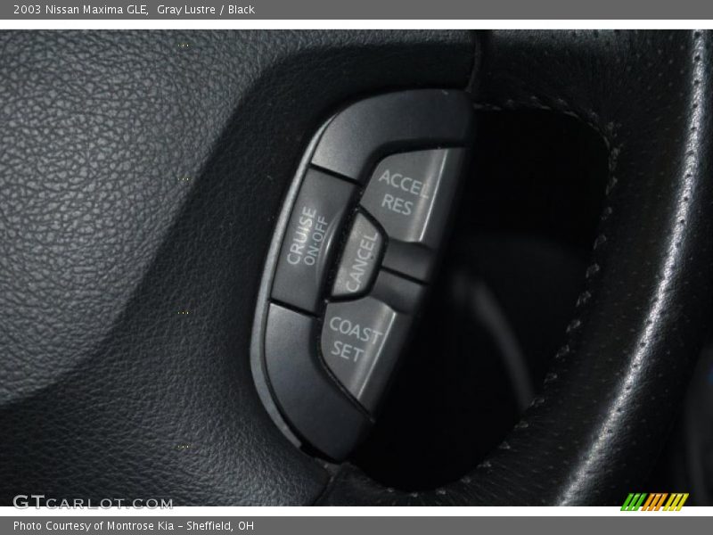 Gray Lustre / Black 2003 Nissan Maxima GLE
