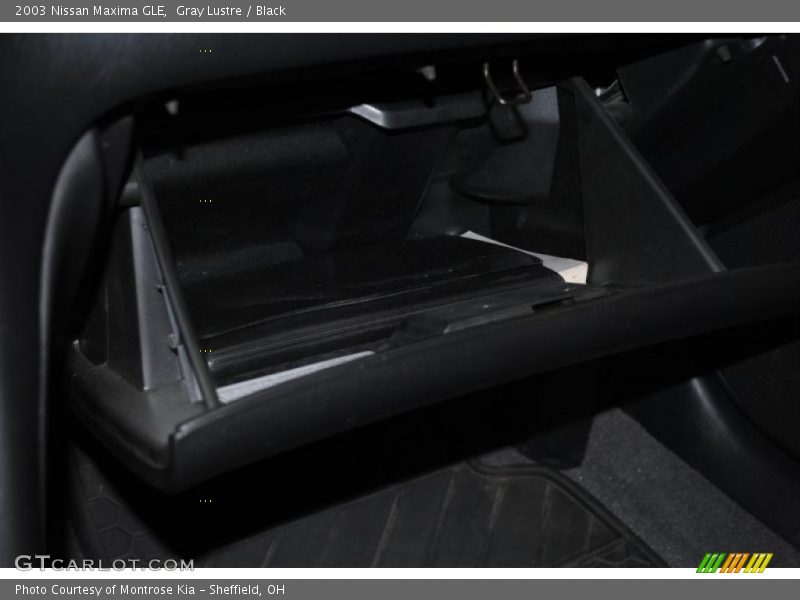 Gray Lustre / Black 2003 Nissan Maxima GLE