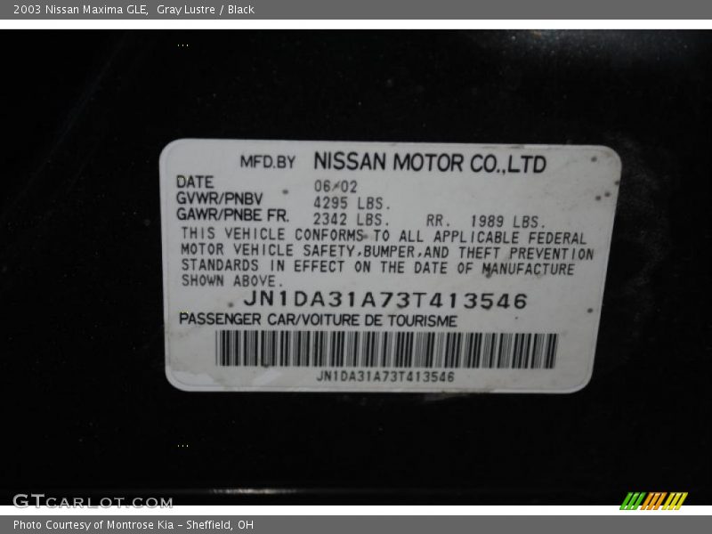 Gray Lustre / Black 2003 Nissan Maxima GLE