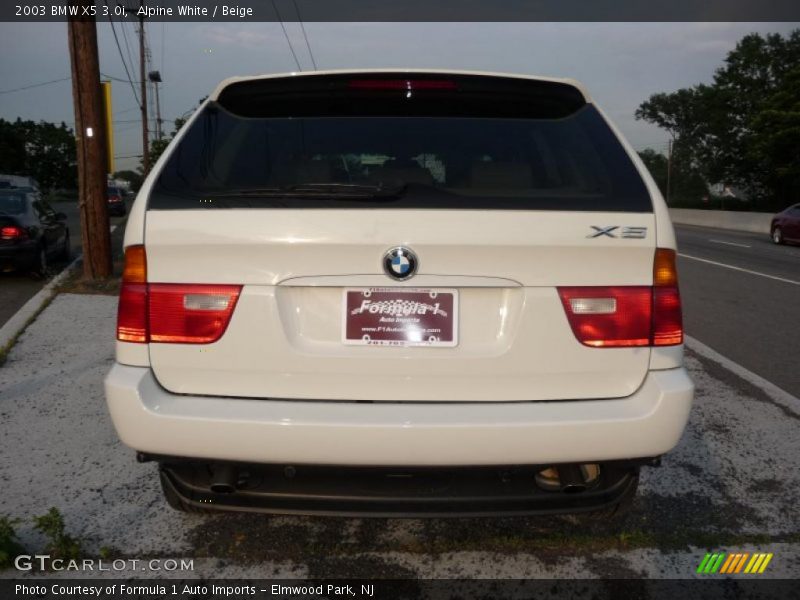 Alpine White / Beige 2003 BMW X5 3.0i
