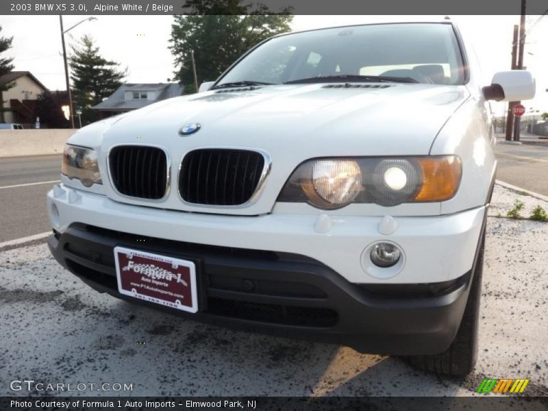 Alpine White / Beige 2003 BMW X5 3.0i