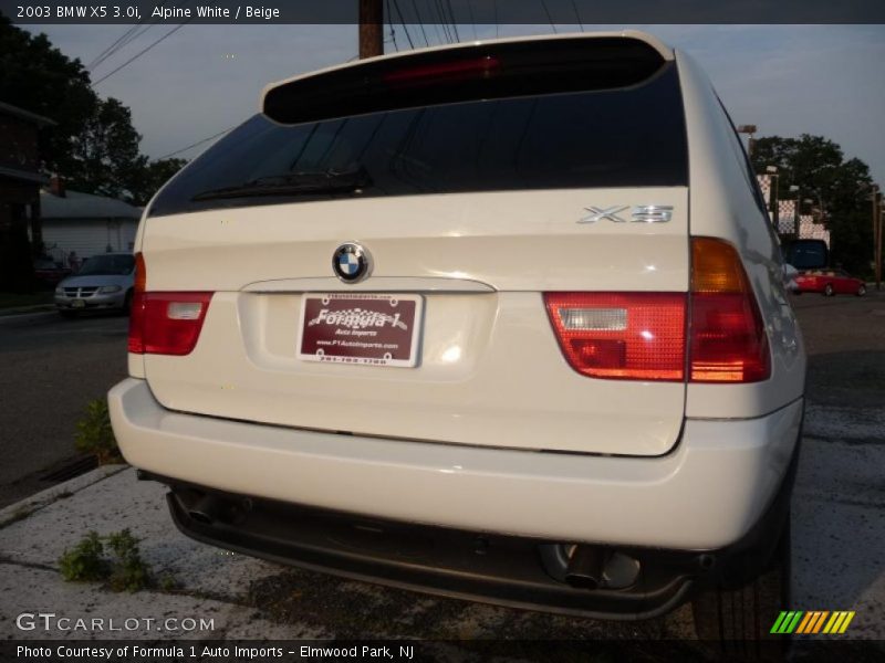 Alpine White / Beige 2003 BMW X5 3.0i