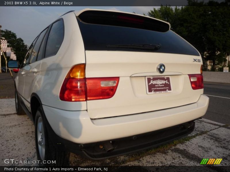 Alpine White / Beige 2003 BMW X5 3.0i