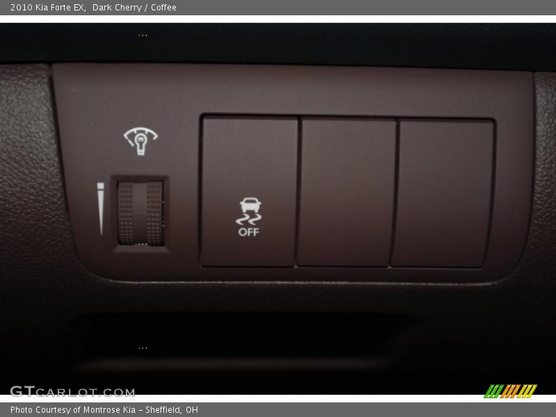 Dark Cherry / Coffee 2010 Kia Forte EX