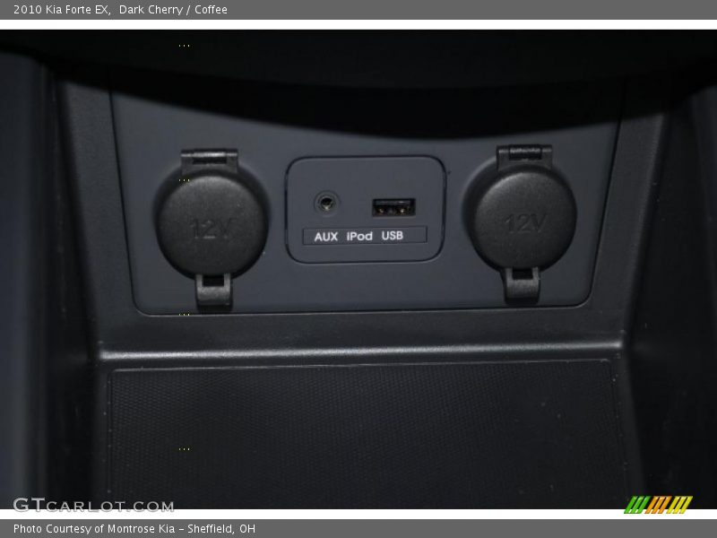 Dark Cherry / Coffee 2010 Kia Forte EX