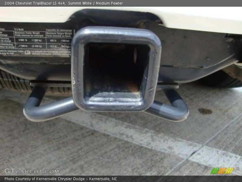Summit White / Medium Pewter 2004 Chevrolet TrailBlazer LS 4x4