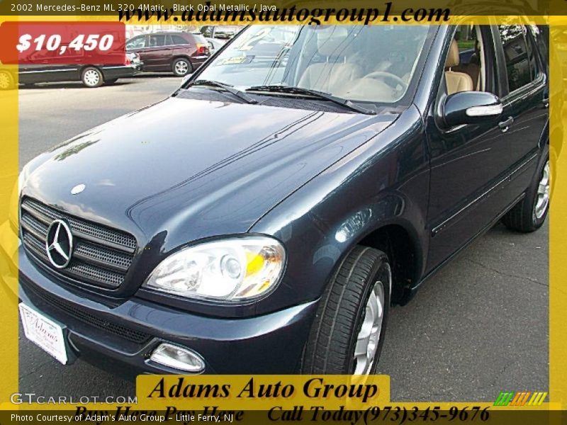 Black Opal Metallic / Java 2002 Mercedes-Benz ML 320 4Matic