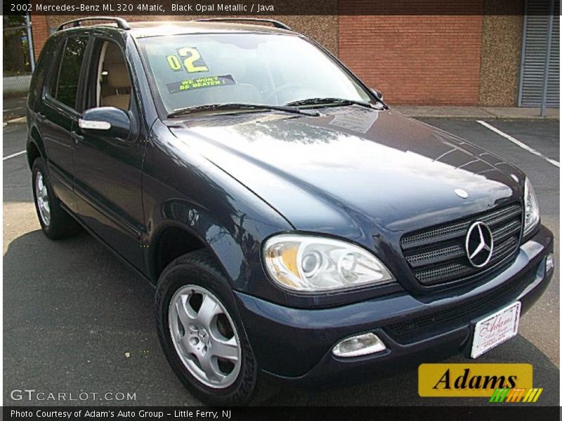 Black Opal Metallic / Java 2002 Mercedes-Benz ML 320 4Matic