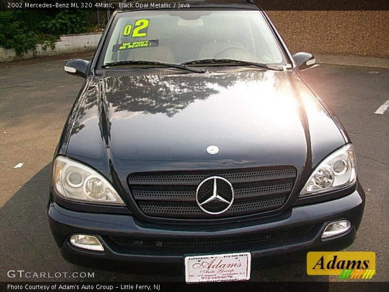 Black Opal Metallic / Java 2002 Mercedes-Benz ML 320 4Matic