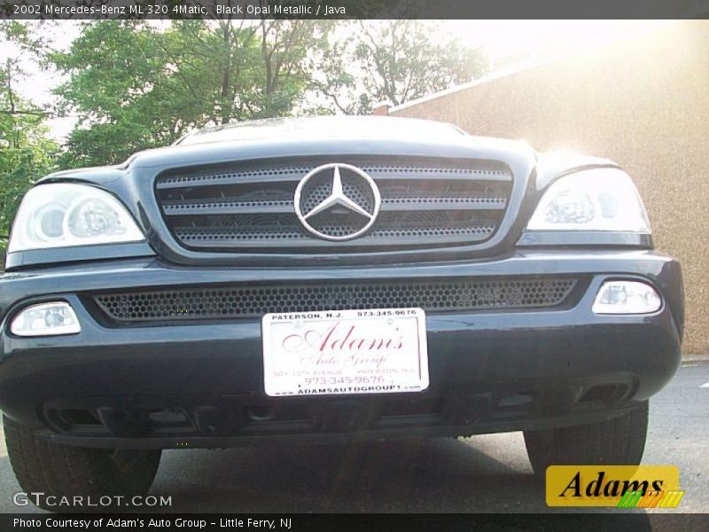 Black Opal Metallic / Java 2002 Mercedes-Benz ML 320 4Matic