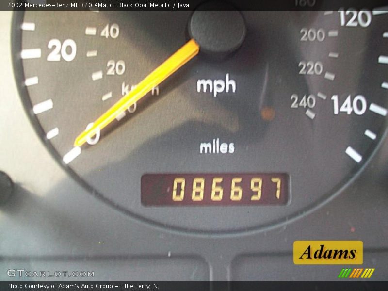 Black Opal Metallic / Java 2002 Mercedes-Benz ML 320 4Matic