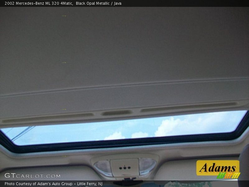 Black Opal Metallic / Java 2002 Mercedes-Benz ML 320 4Matic