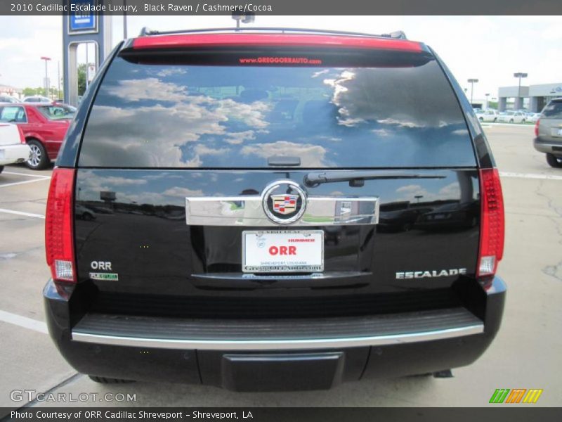 Black Raven / Cashmere/Cocoa 2010 Cadillac Escalade Luxury