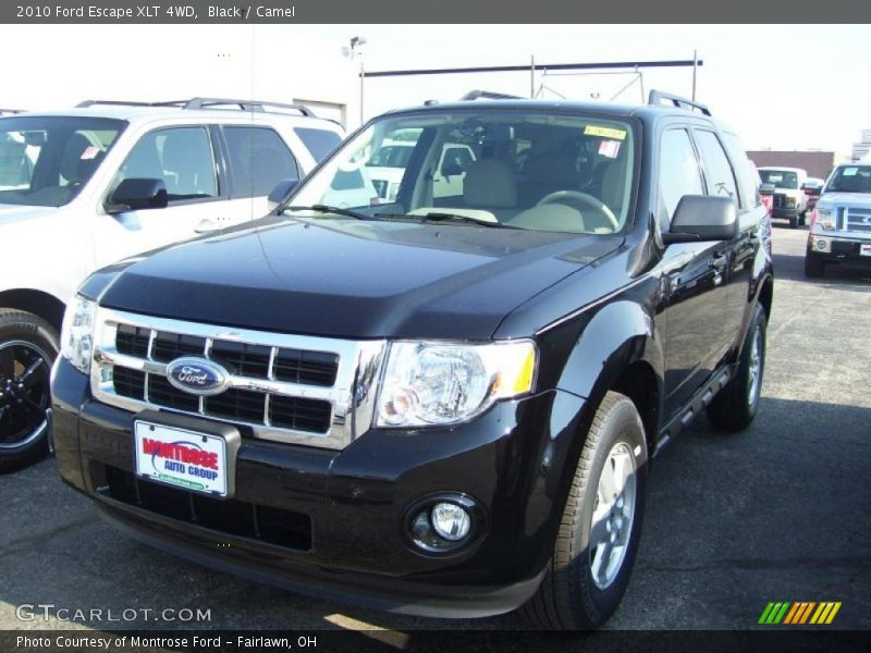 Black / Camel 2010 Ford Escape XLT 4WD