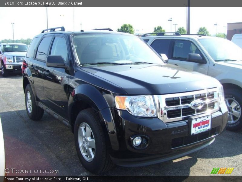 Black / Camel 2010 Ford Escape XLT 4WD