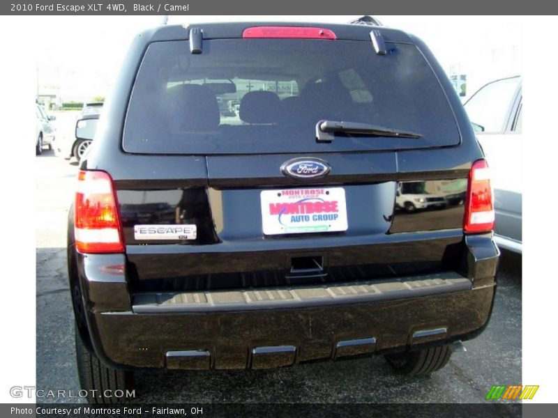 Black / Camel 2010 Ford Escape XLT 4WD