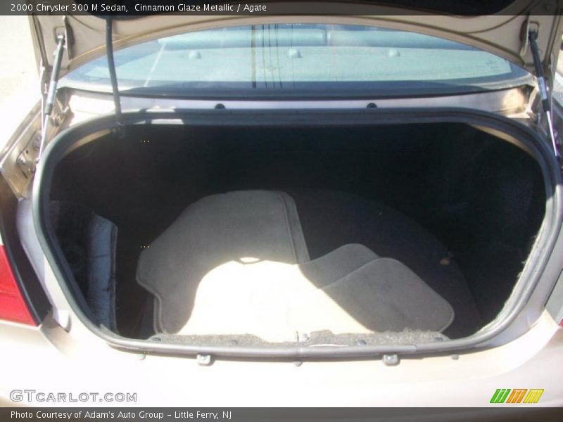 Cinnamon Glaze Metallic / Agate 2000 Chrysler 300 M Sedan