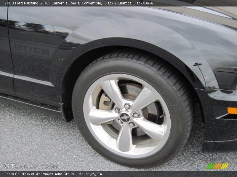 Black / Charcoal Black/Dove 2008 Ford Mustang GT/CS California Special Convertible