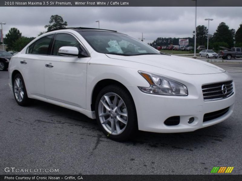 Winter Frost White / Caffe Latte 2010 Nissan Maxima 3.5 SV Premium