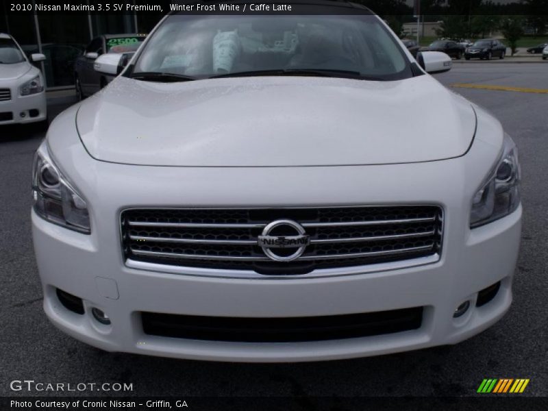 Winter Frost White / Caffe Latte 2010 Nissan Maxima 3.5 SV Premium