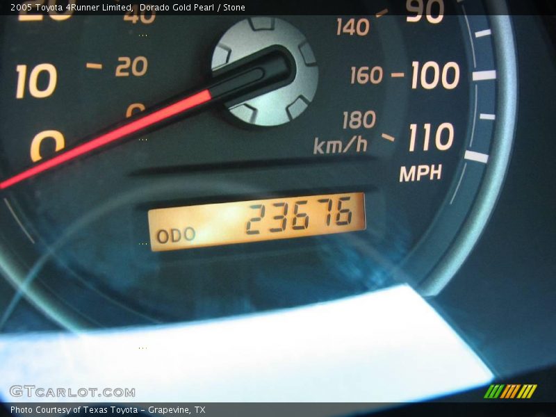 Dorado Gold Pearl / Stone 2005 Toyota 4Runner Limited