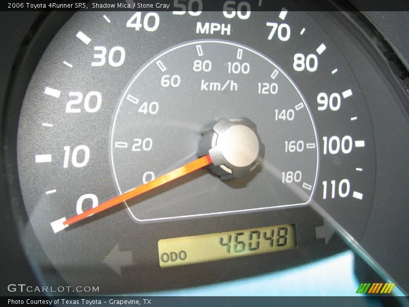 Shadow Mica / Stone Gray 2006 Toyota 4Runner SR5