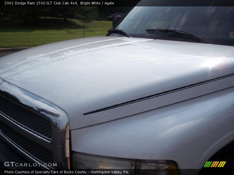 Bright White / Agate 2001 Dodge Ram 1500 SLT Club Cab 4x4