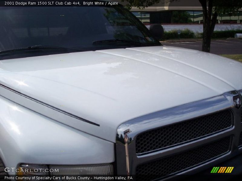 Bright White / Agate 2001 Dodge Ram 1500 SLT Club Cab 4x4