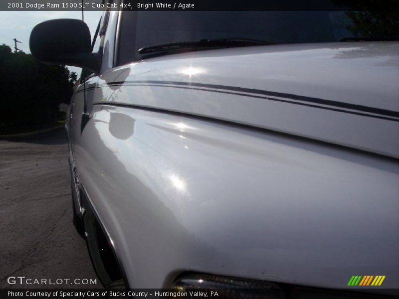 Bright White / Agate 2001 Dodge Ram 1500 SLT Club Cab 4x4