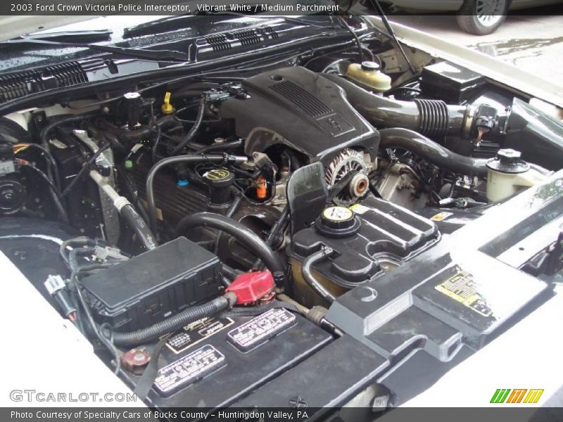 Vibrant White / Medium Parchment 2003 Ford Crown Victoria Police Interceptor