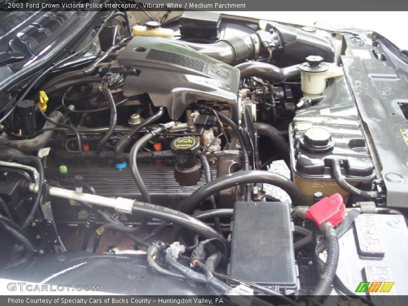 Vibrant White / Medium Parchment 2003 Ford Crown Victoria Police Interceptor