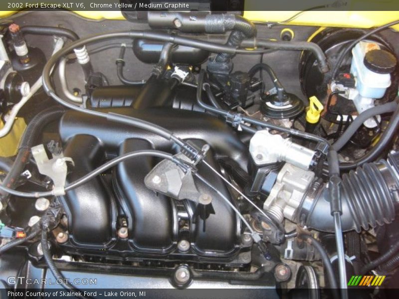 Chrome Yellow / Medium Graphite 2002 Ford Escape XLT V6