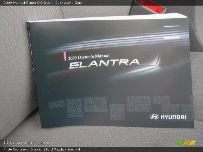 Quicksilver / Gray 2009 Hyundai Elantra GLS Sedan