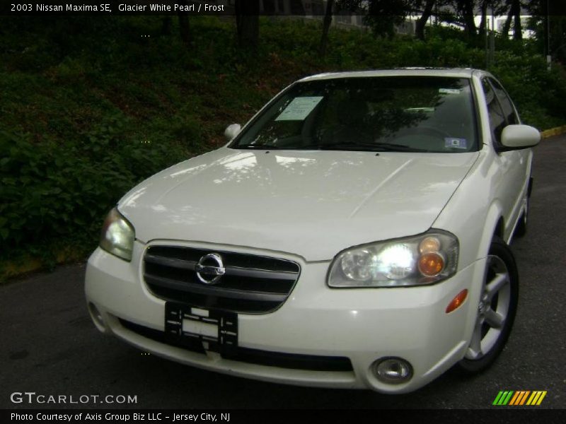 Glacier White Pearl / Frost 2003 Nissan Maxima SE