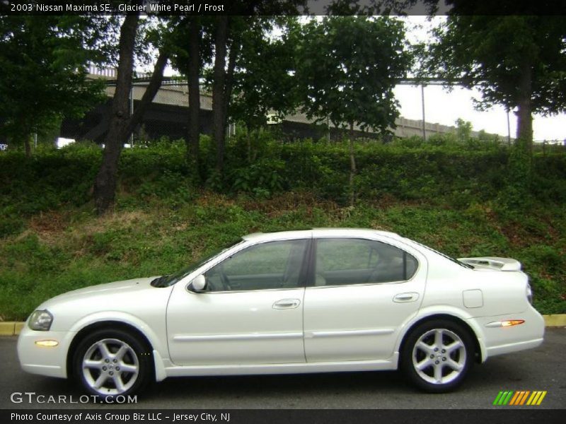 Glacier White Pearl / Frost 2003 Nissan Maxima SE