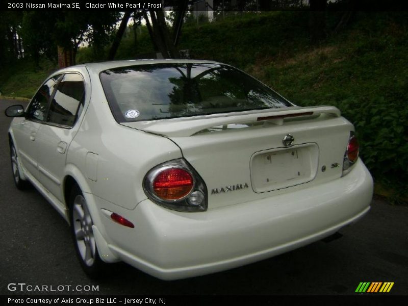 Glacier White Pearl / Frost 2003 Nissan Maxima SE