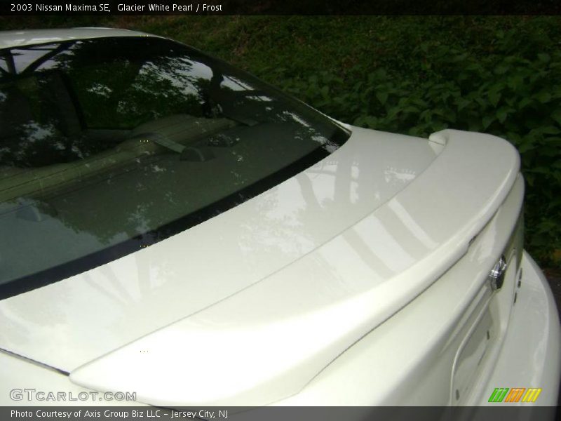 Glacier White Pearl / Frost 2003 Nissan Maxima SE
