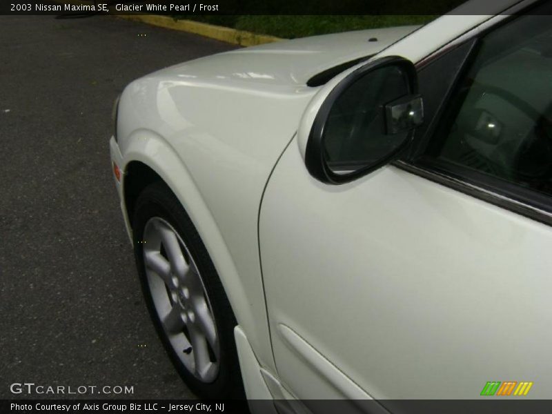 Glacier White Pearl / Frost 2003 Nissan Maxima SE